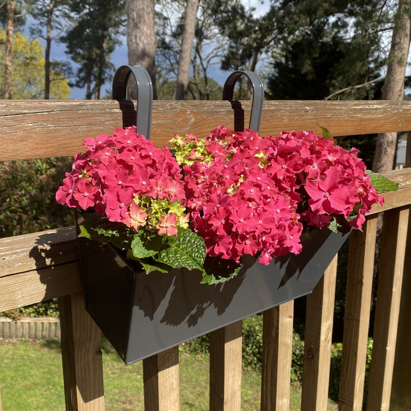 Andropolis Metal Railing Planter, Grey