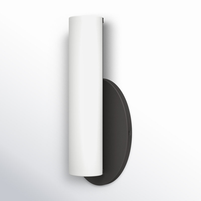 Delphine Single Light Glass Steel Dimmable LED Flush Mounted Sconce, Architectural Bronze