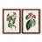 " Roseate Blooms V " 2 Piece Art Color Photography Print-1437852461-1437620552-1437620545