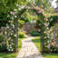 Steel Garden Arch Arbor Trellis, 7.87x3.93Ft Metal Decorative Arbor for Climbing Plants, Outdoor Wedding Arch, Weather-Resistant Lawn, Patio Archway for Backyard, Yard, Garden Decor