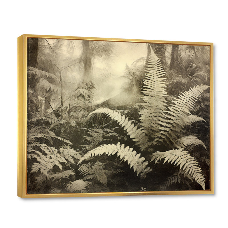 Green Fern Scenery V sur toile, H 30 po x l 40 po x P 1,5 po, Cadre flottant doré