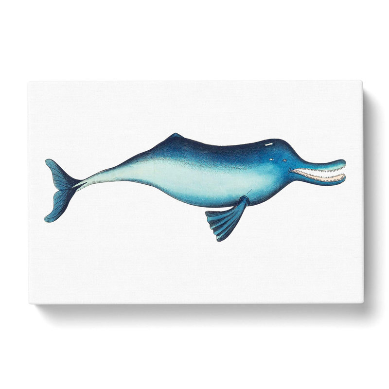 River Dolphin by George Shaw - Wrapped Canvas, 35cm H x 50cm W x 3cm D