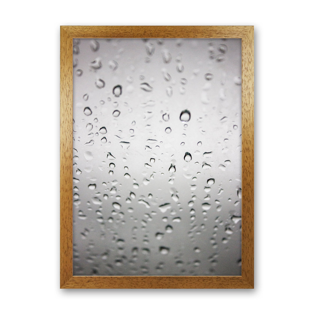 Touch of Rain by Victoria Frost - Photograph Print