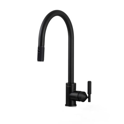 Kitchen Faucet / Pull-Out With Dual Spray / Cross