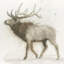 Elk V.2, reproduction d'art sur toile tendue-19159577-74292808-74292809