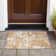 Machine Washable Indoor/Outdoor Chayden ACN1008 Copper Rug
