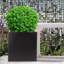 Planter Box-616968465-616968745