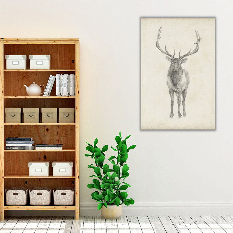 Elk Study - Canvas Print Wall Art, 30" H x 20" W