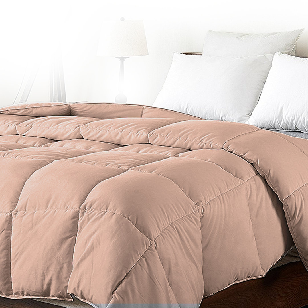 Hypoallergenic All Season Down Alternative Single Comforter Cheer Collection 