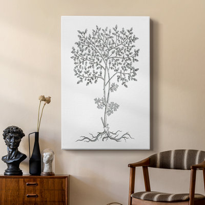 B&W Plant Spechantillon IV - galerie sur mesure Cavas