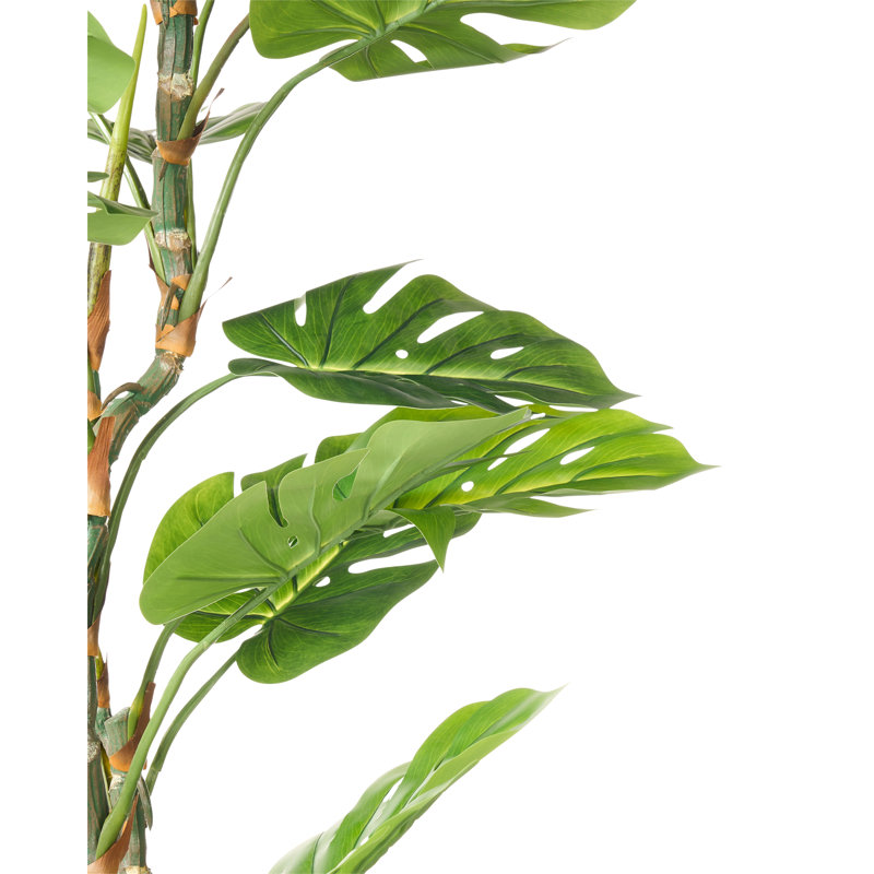 165cm Faux Monstera Deliciosa Plant in Pot
