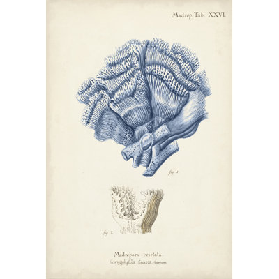 Antique Coral in Navy II by Johann Esper - Painting