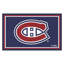 Tapis de porte antidérapant intérieur NHL-25121502-25121475