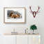 African Lion With Cubs by Charles D' Orbigny - Single Picture Frame Painting-55547499-55547503