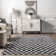 Dominique Abstract Checkered Fringe Area Rug