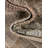 Bridan Abstract Indoor Rug-1008002086