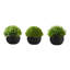 Ensemble de 3 plantes d'intérieur pour plantes d'intérieur, vert luxuriant, 5 pouces