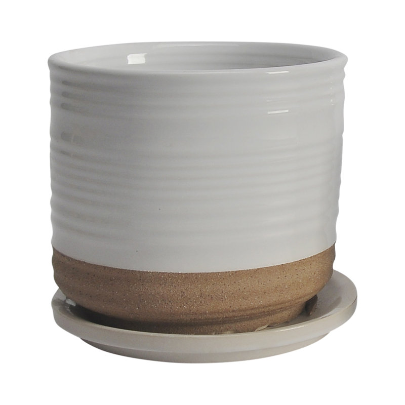 Balmer Ceramic Saucer Planter with Ribbed Texture, Striped White, 2