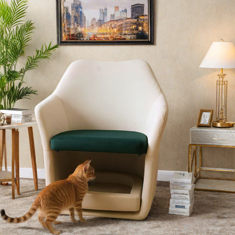 Chaise d'appoint moderne 2 en 1 avec base amovible pour animaux de compagnie
