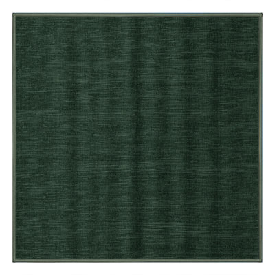 Machine Washable Solid Green Area Rug