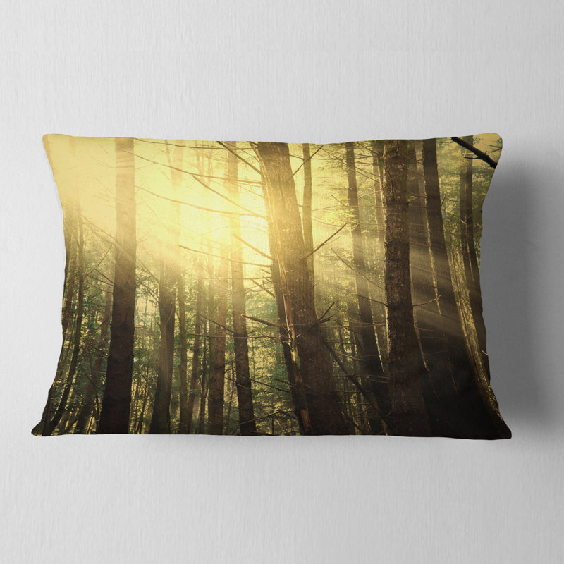 Coussin Dense Sunny Forest