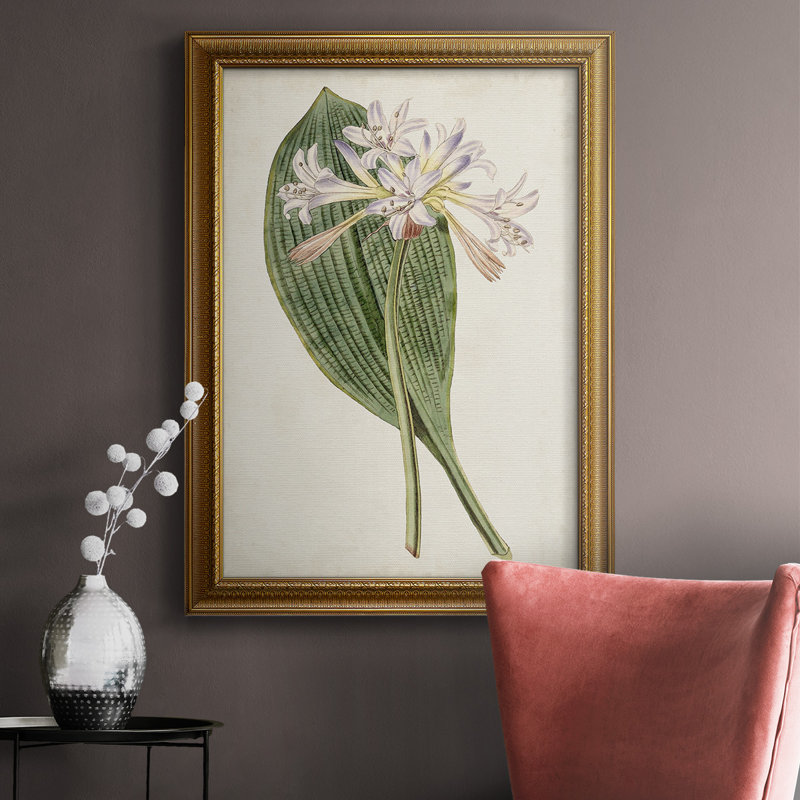 Antique Botanical Collection IV - reproduction d'art sur toile encadrée, L 16 po x H 20 po