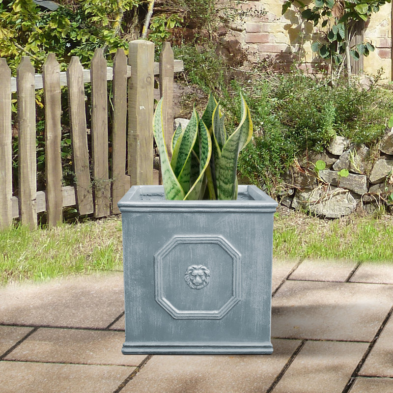 Boîte à fleurs en béton Hillevi, Gris antique, H 12,6 po x l 12,6 po x P 12,6 po