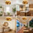 Adiyan 19'' Ceiling Fan with Light Kit