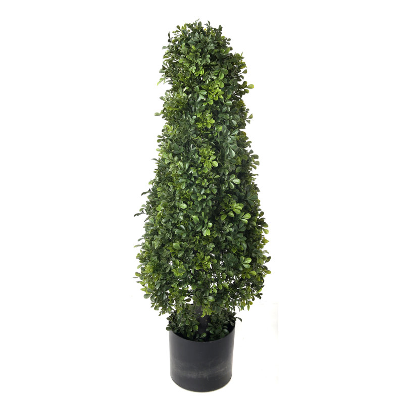 Topiaire de feuillage buis dans un pot de fleurs, H 37 po x l 11 po x P 35 po