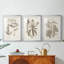 Antique sépia botanicals VI - reproduction encadrée sur mesure de qualité supérieure - 3 pièces-1937865292-1937865651