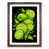 Walnut Framed selected