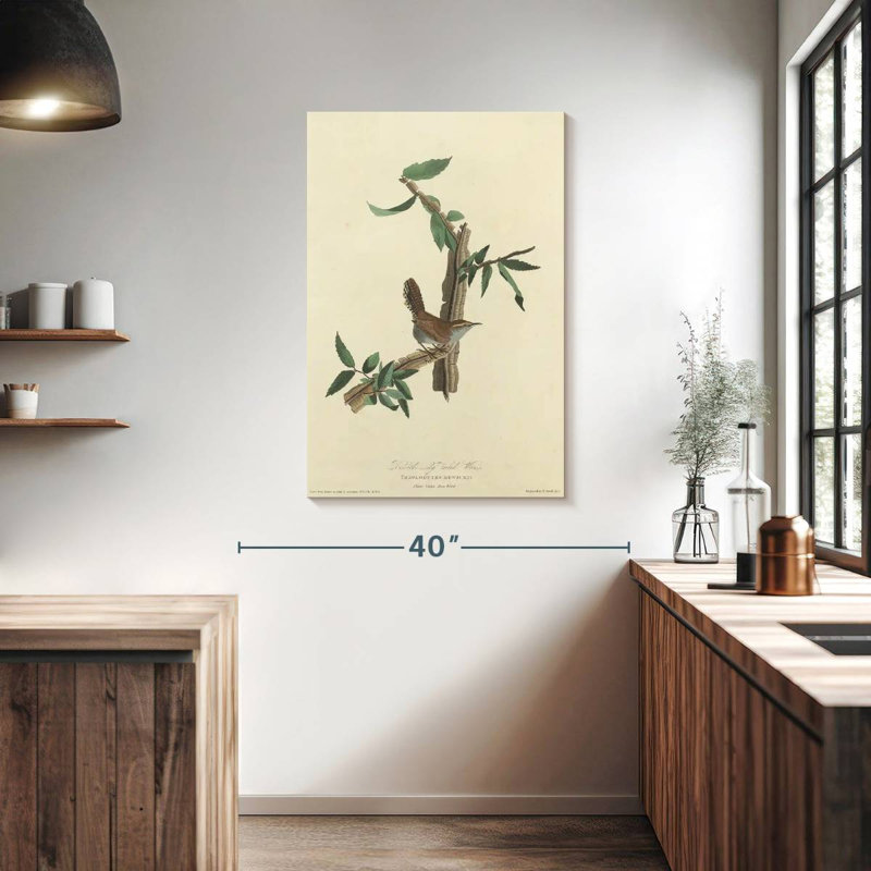 Keiri Bewick's Wren, 39" H x 26" W