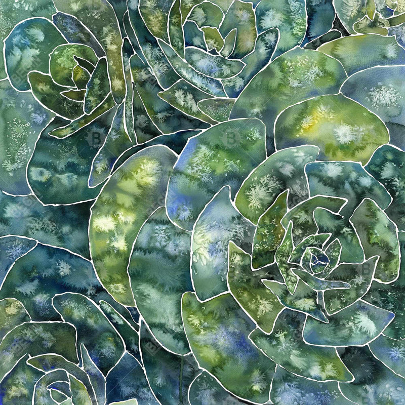 «Abstract Succulents»