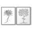 Reproduction encadrée de qualité supérieure de B&W Plant Speciment III - prête à être accrochée - aucun clou requis - aucun clou requis-192665963-192665971