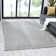 Indoor Rug