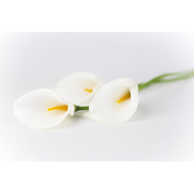 Calla Lily par Honglouwawa