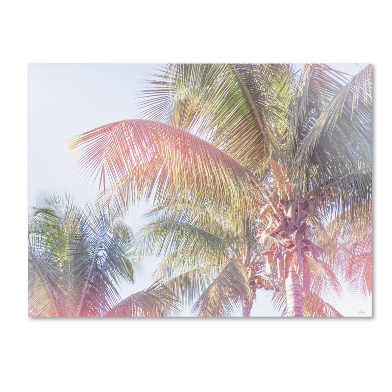 « rêve palm i », reproduction de photo sur toile tendue, H 18 po x l 24 po