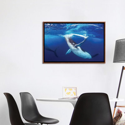 " Whale Of A Time " by Jordan Robins