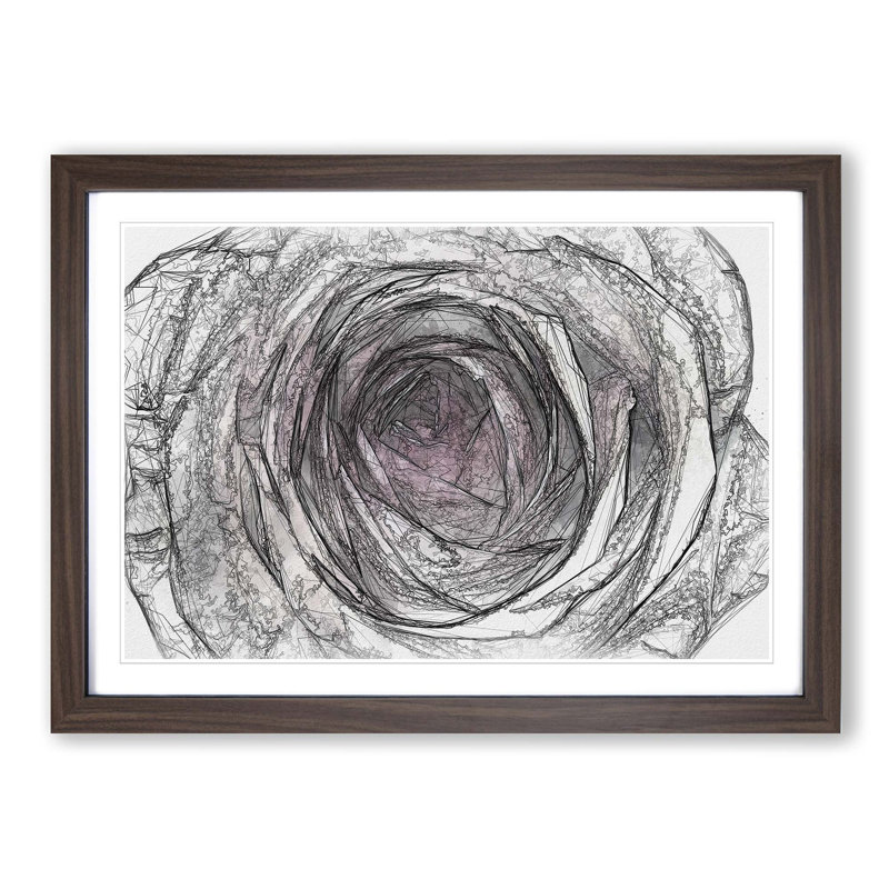 A Pale Pink Rose in Abstract - Picture Frame Graphic Art Print, 36cm H x 48cm W x 2cm D, Walnut Framed
