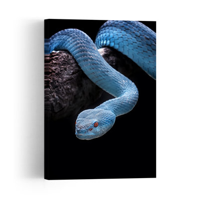 Blue Viper Red Eyes Contemporary Snake Wall Art Print 1 Piece Wrapped Canvas Wall Art