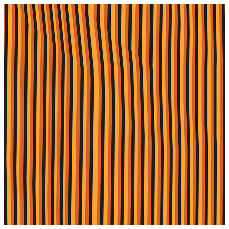Rideau de douche orange à rayures noires - Motif de décor de salle de bain moderne, 70in W x 72in H