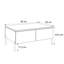 Coffee Table with Storage