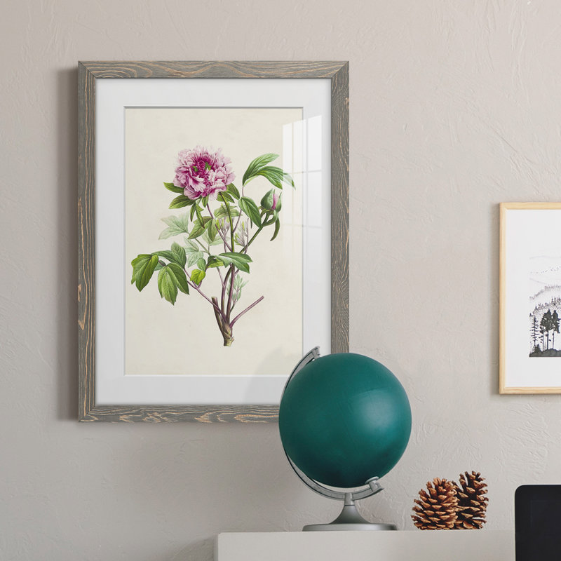 «Pretty Botanicals V», cadre photo, H 24 po x l 20 po x P 1 po, Cadre gris