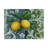 Graphic Art Print-27487669