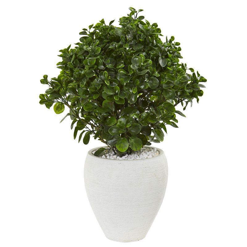 Plante peperomia artificielle en pot de fleurs, Blanc
