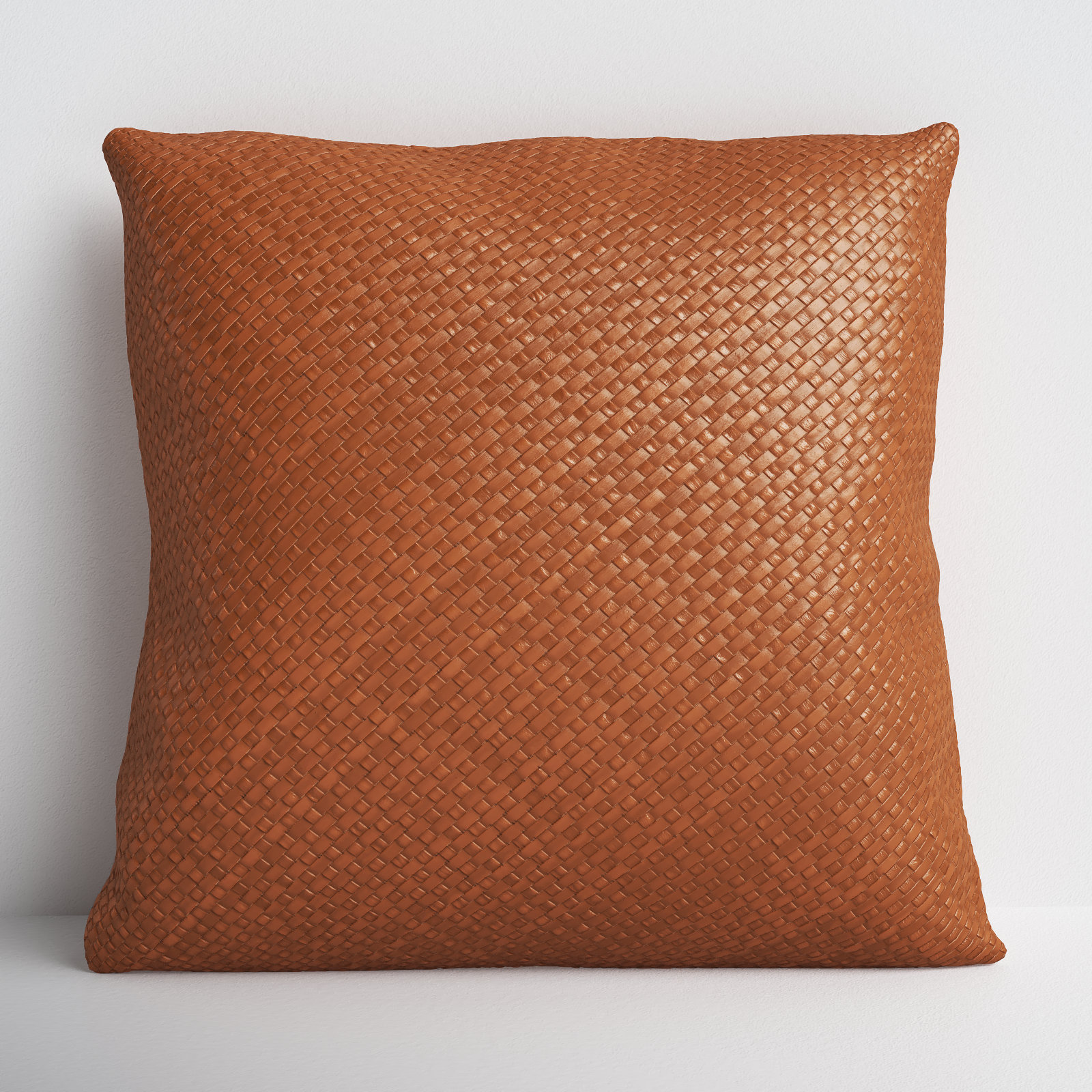 Nabil 20" x 20" Throw Pillow