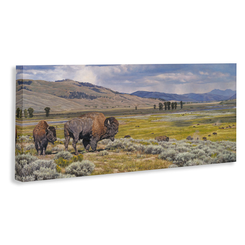 Art mural sur toile "Bison Southwestern Roming" par David Graham, H 13 po x l 30 po