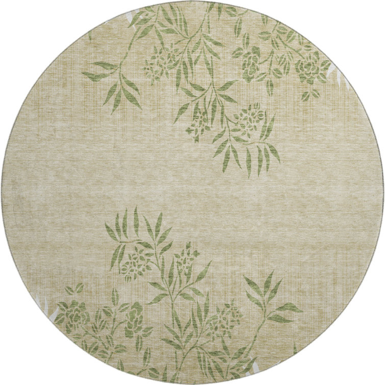 Premium Machine Washable Prisco Khaki Rug