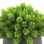 Faux Succulent in Fiberstone Pot-1601367876