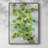 Ivy Framed Print - Solid Wood-491459276
